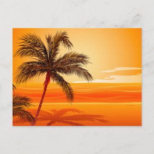 Postal Palm Tree Beach Sunset