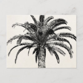Postal Palm Tree de Isla Tropical Retro en blanco y negro
