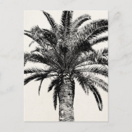 Postal Palm Tree de Isla Tropical Retro en blanco y negro