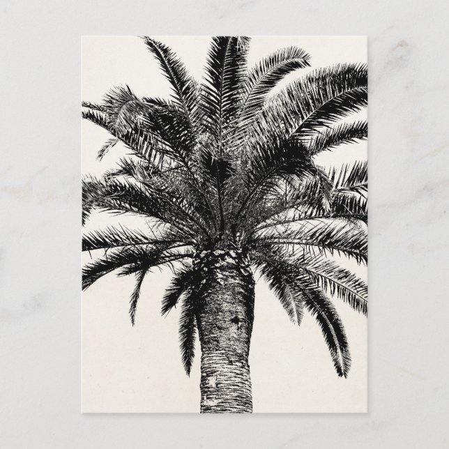 Postal Palm Tree de Isla Tropical Retro en blanco y negro (Anverso)