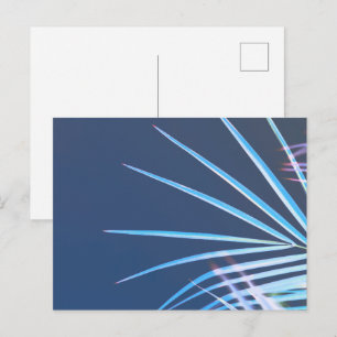 Postal Palm Tree Deja Esbozo Minimalismo