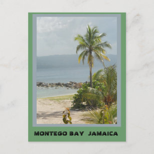 Postal Palm Tree, Montego Bay Jamaica