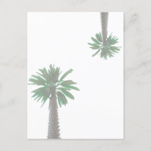 Postal Palm Tree Pastel Verde Tropical