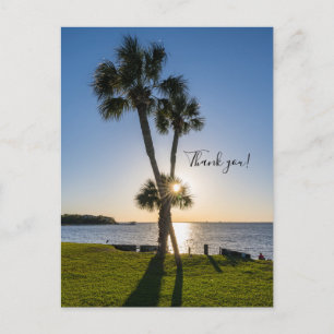 Postal Palm Tree Scissors Silhouette Gracias Postcard