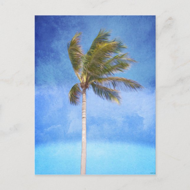 Postal Palm Tree tropical (Anverso)