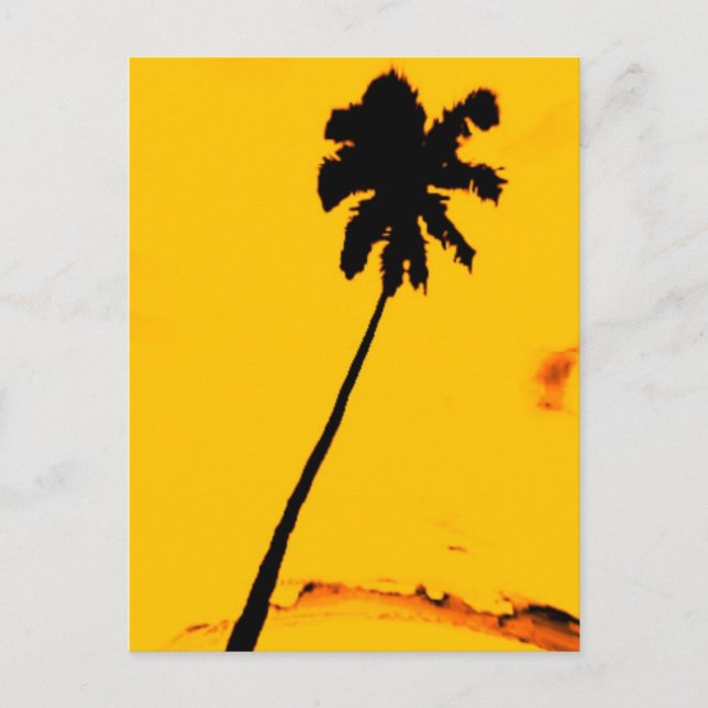 Postal Palm Tree tropical (Anverso)