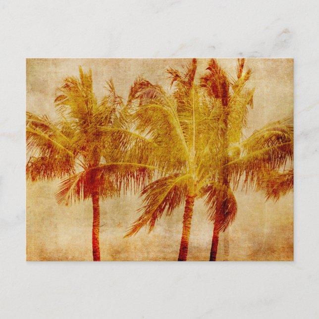 Postal Palm Tree Vintage (Anverso)