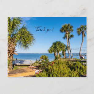 Postal Palm Trees Bayside Mañana Gracias Postcard