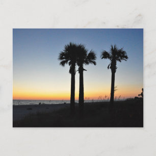 Postal Palm Trees de Captiva Island Sunset Florida Postca