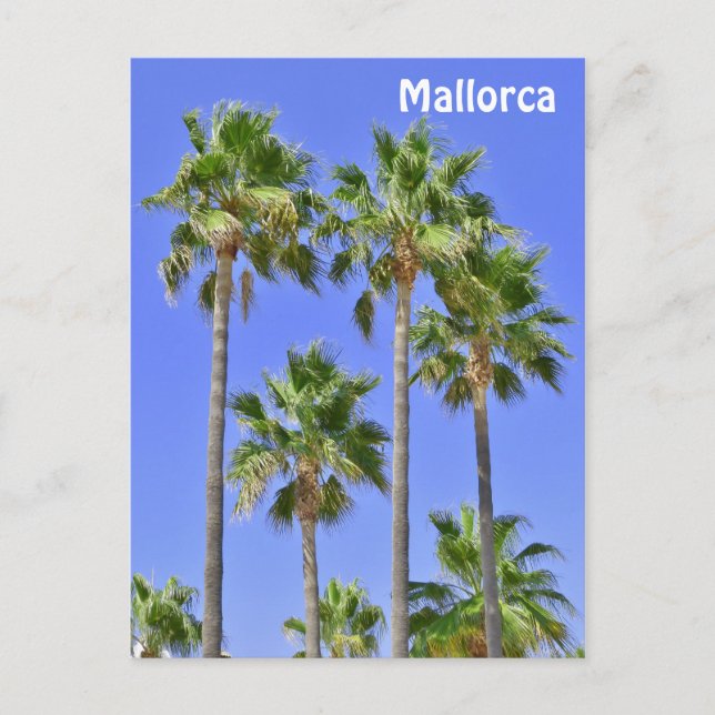 Postal Palm Trees de Mallorca (Anverso)