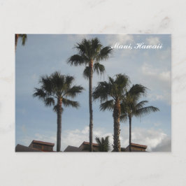 Postal Palm Trees Maui Hawaii