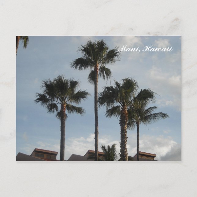 Postal Palm Trees Maui Hawaii (Anverso)
