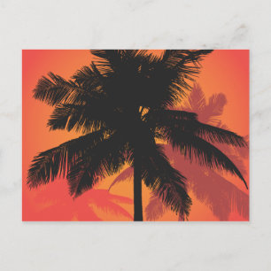 Postal Palm Trees Silhouettes Sunset