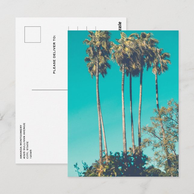 Postal Palm Trees Tropicales California Retro (Anverso / Reverso)