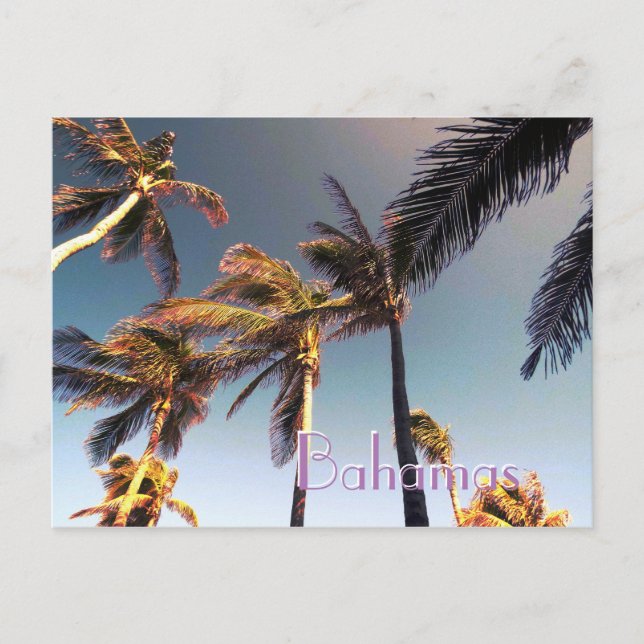 Postal Palm Trees y Efecto Vintage (Anverso)