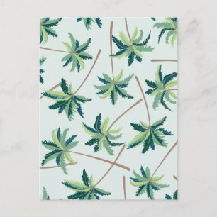 Postal Palm Tropical Australiana