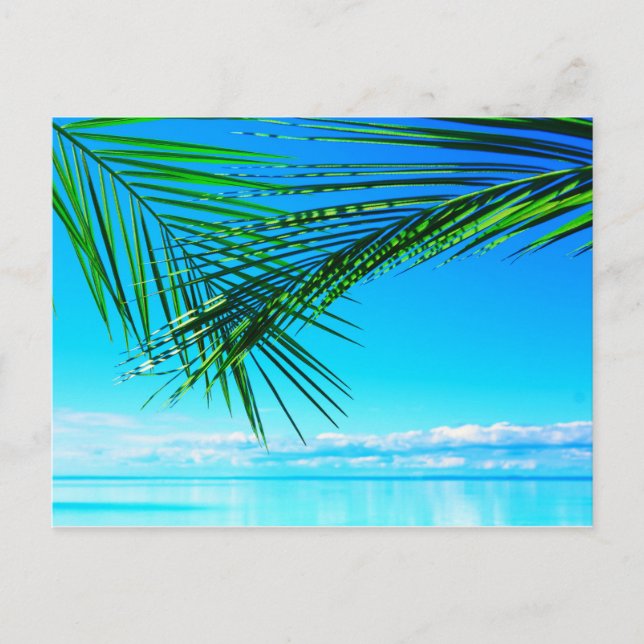 Postal Palm verde en cielo azul (Anverso)
