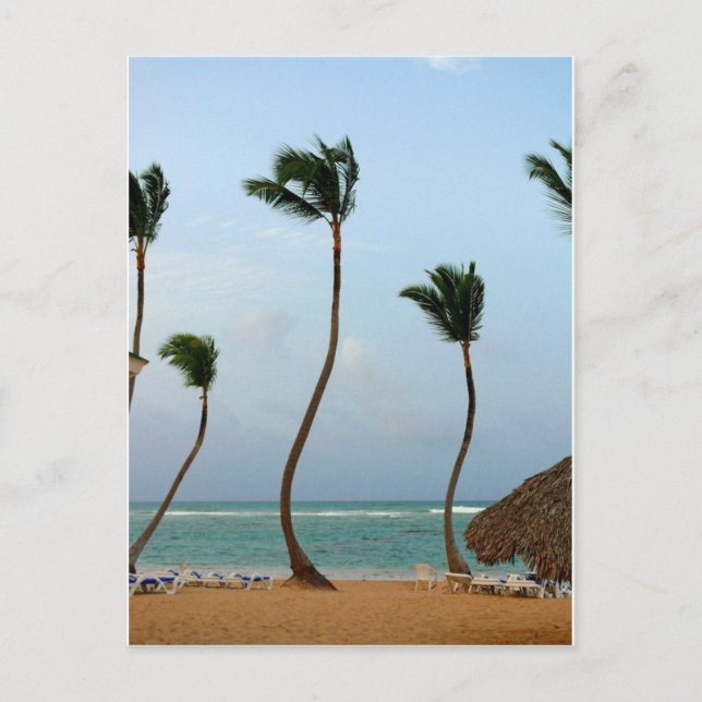 Postal Palma de Playa (Anverso)