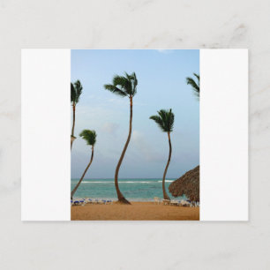 Postal Palma de Playa