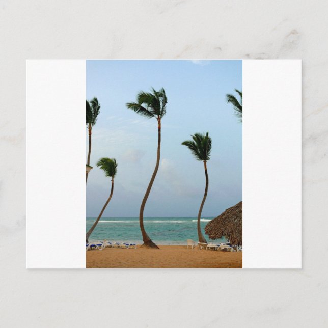 Postal Palma de Playa (Anverso)