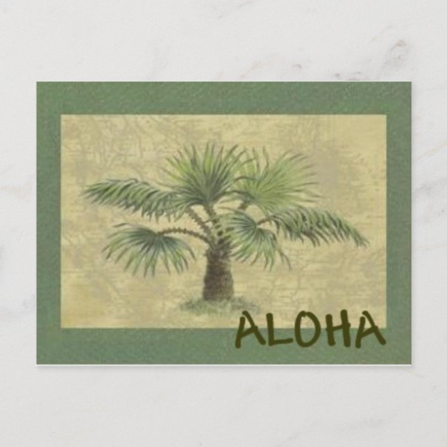 Postal Palmas ALOHA Postcard (Anverso)