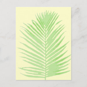 Postal palmera