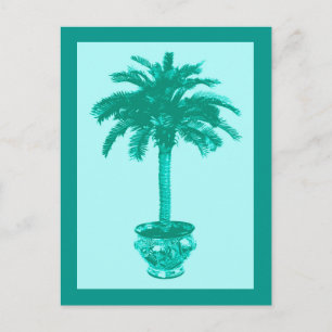 Postal Palmera en maceta, turquesa y aqua
