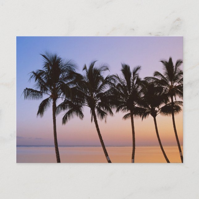 Postal Palmera, mañana (Anverso)
