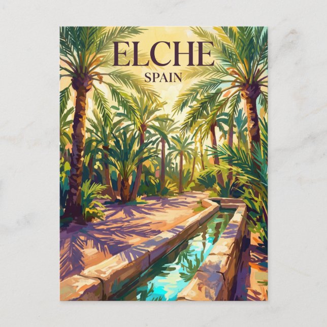 Postal Palmeral de Elche España (Anverso)