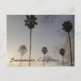 Postal Palmeras al atardecer