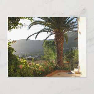 Postal Palmeras Al Azar En La Isla De Corfú