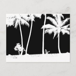 Postal Palmeras blancas y negras
