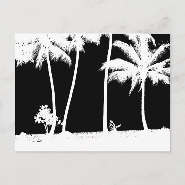 Postal Palmeras blancas y negras (Anverso)