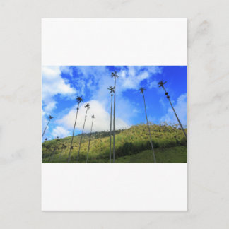 Postal Palmeras de cera colombianas en el Valle de Cocora