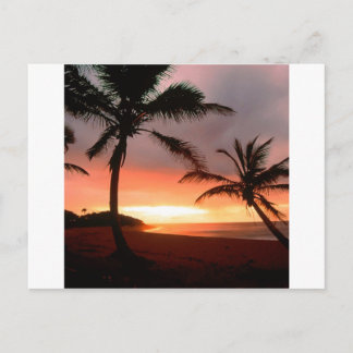 Postal Palmeras de Isla Tropical República Dominicana