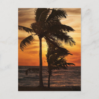 Postal palmeras de la silueta del paraíso