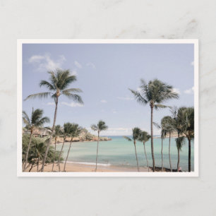 Postal Palmeras de Lihue Kauai Hawái Foto Saludo