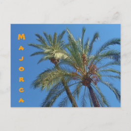 Postal Palmeras de Mallorca - Postcard