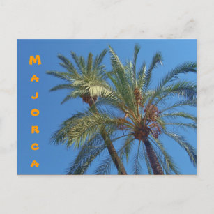 Postal Palmeras de Mallorca - Postcard
