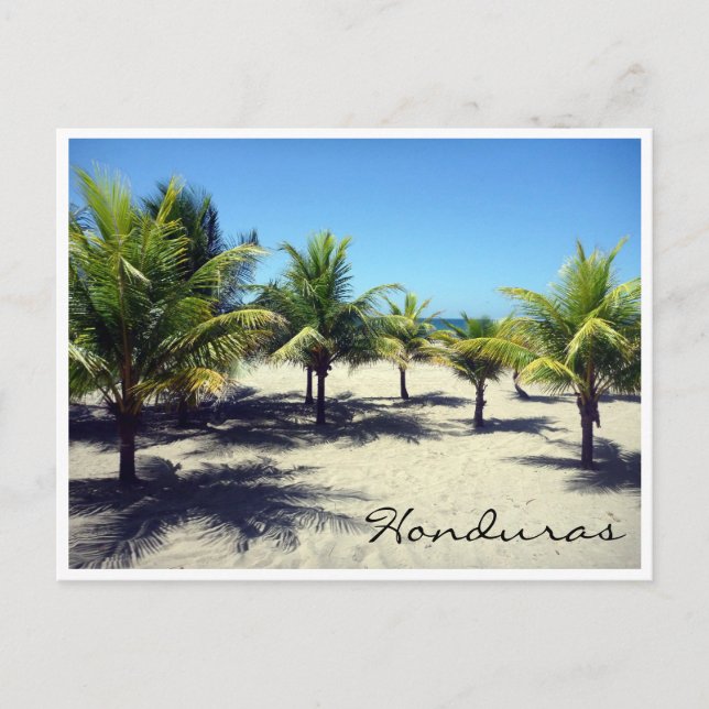 Postal palmeras de playa de tela (Anverso)