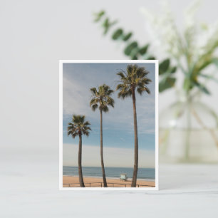 Postal Palmeras de playa y torre de salvavidas Los Ángele