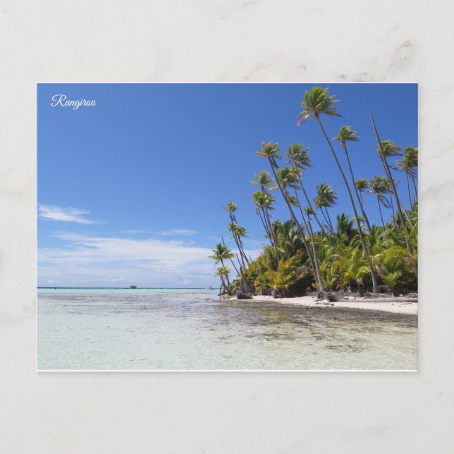 Postal Palmeras de Rangiroa (Anverso)