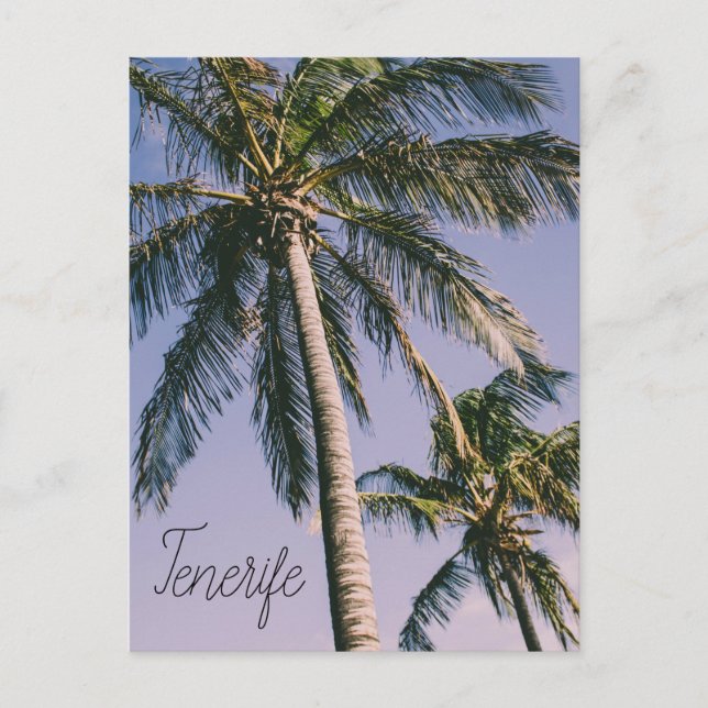 Postal Palmeras de Tenerife (Anverso)