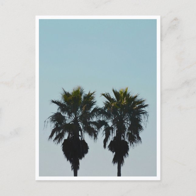 Postal Palmeras de verano (Anverso)
