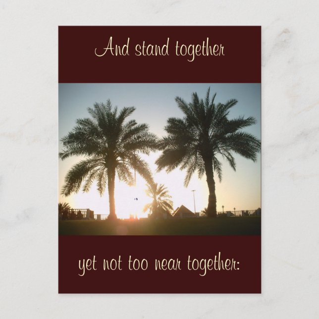 Postal Palmeras en Doha