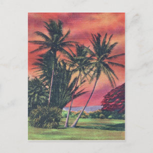 Postal Palmeras en la isla de Hawaii, cartel de viaje vin