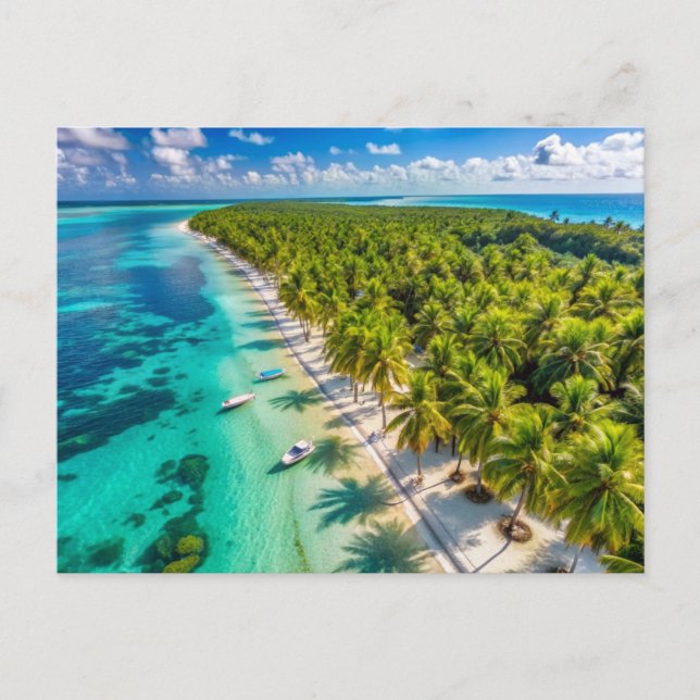 Postal Palmeras en la playa de Isla Saona (Anverso)