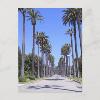Postal Palmeras en una calle de Los Ángeles