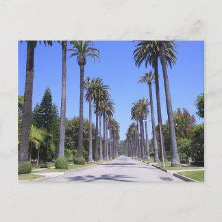 Postal Palmeras en una calle de Los Ángeles