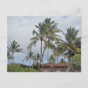 Postal Palmeras Hawaianas